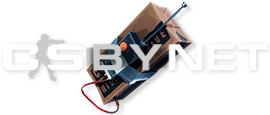 CSBYNET